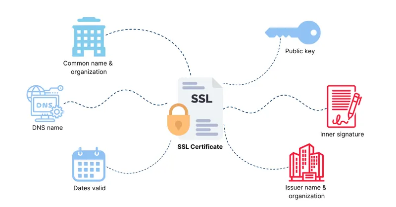 Domain Verification Protocols and Phishing Website Prevention