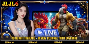 Cockfight Thailand - Review Regional Fight Coverage