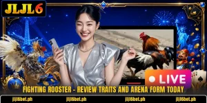 Fighting Rooster - Review Traits And Arena Form Today