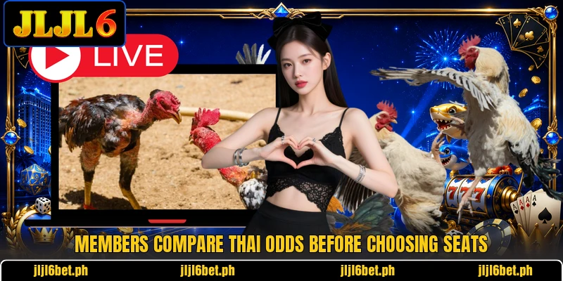 Members compare Thai odds before choosing seats Members compare Thai odds before choosing seats