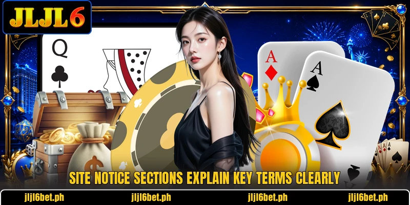 Site notice sections explain key terms clearly Site notice sections explain key terms clearly